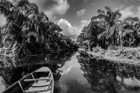Aménagement et gestion Complexe touristique et hôtelier de la rivière noire